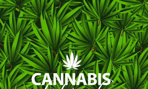 Cannabis.com